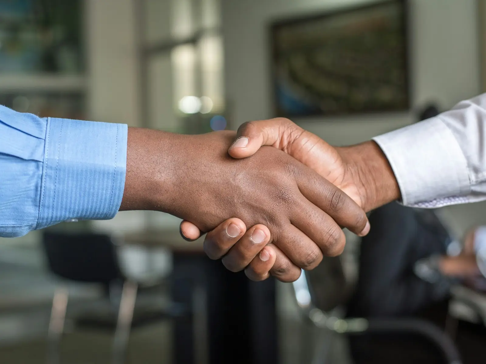Two business people shaking hands